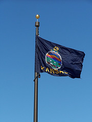 Kansas flag