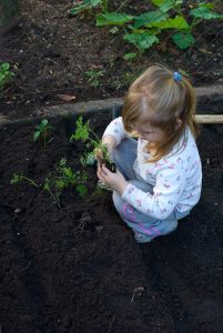 child in garden