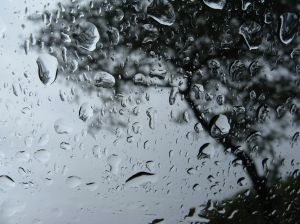 rainy window