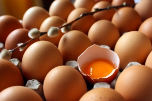 egg