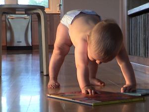 baby with books