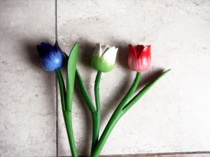 tulips