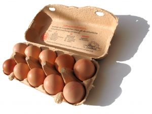 eggs in a carton