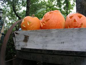 jack o lanterns