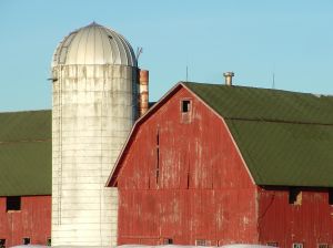 dairy farm