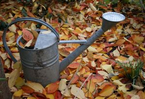 watering can