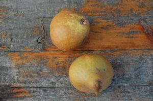 pears on a table