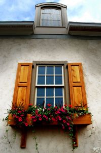 window box