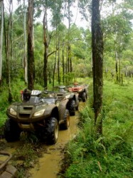 ATV Trail Ride