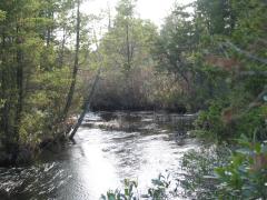 New Jersey Wilderness