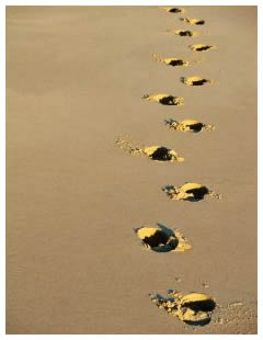 footprints