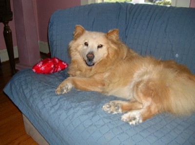 My fur-sister Becca and her neat nails!